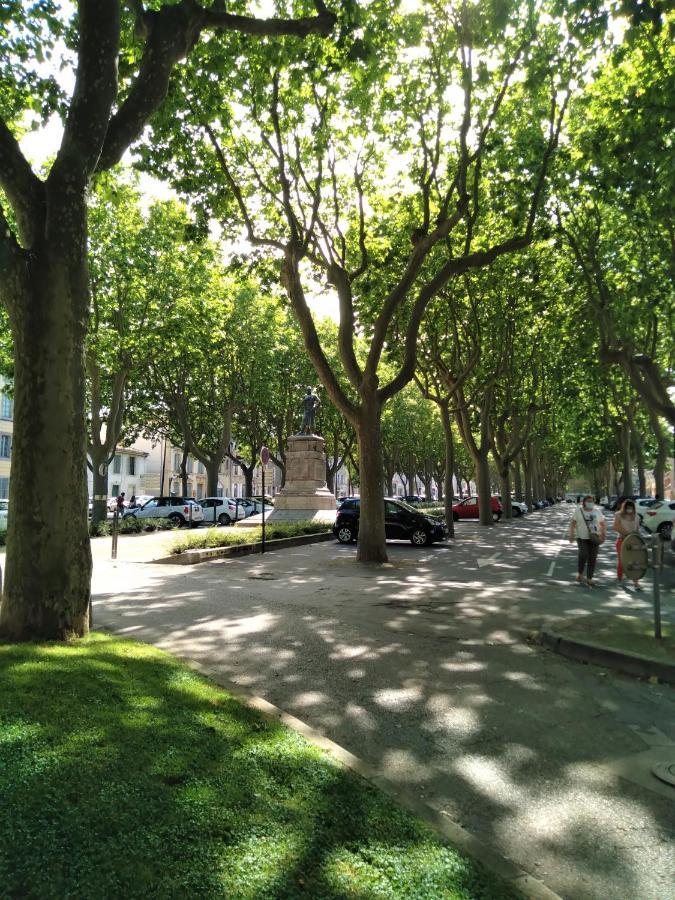 Appartement spacieux de 100m2 à deux pas du centre ville de Carcassonne Exterior foto